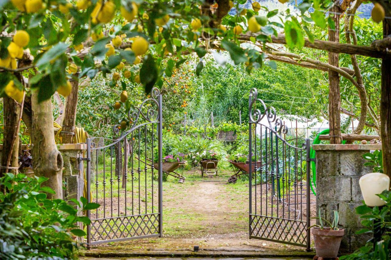 بيانو دي سورينتو Villa Maresca B&B المظهر الخارجي الصورة