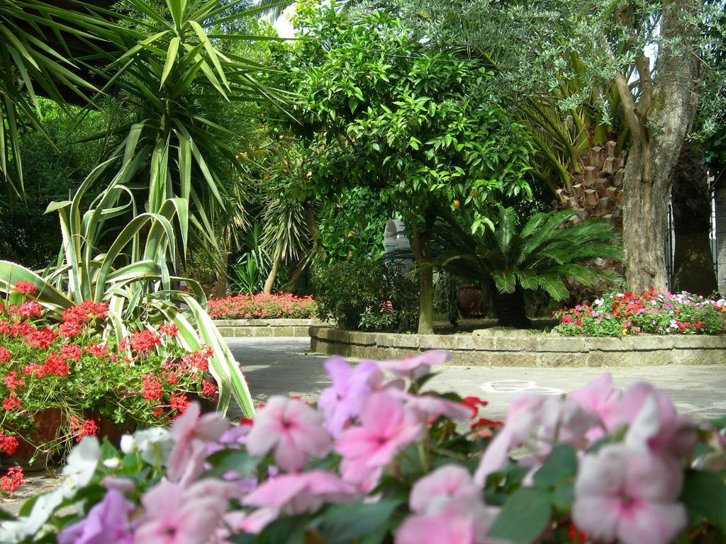 بيانو دي سورينتو Villa Maresca B&B المظهر الخارجي الصورة